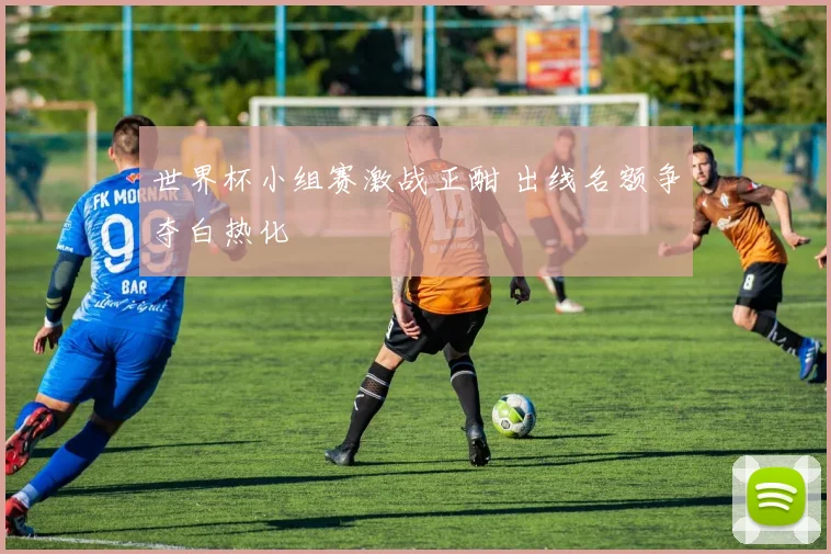 世界杯小组赛激战正酣 出线名额争夺白热化