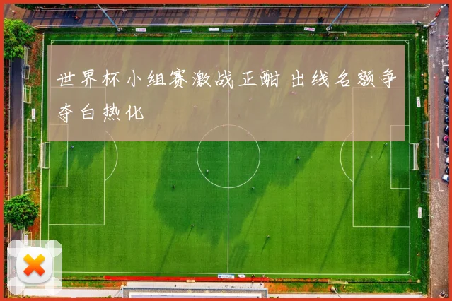 世界杯小组赛激战正酣 出线名额争夺白热化