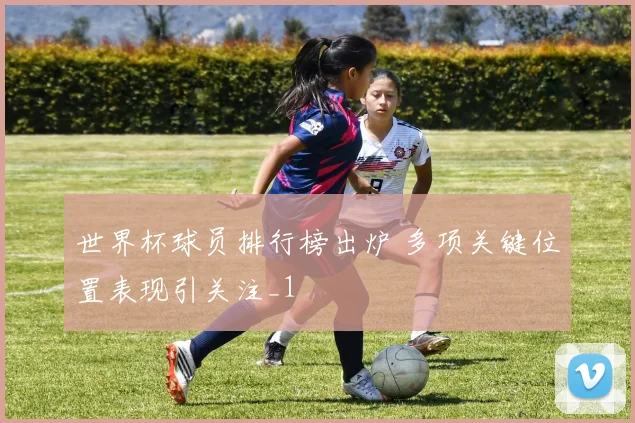 世界杯球员排行榜出炉 多项关键位置表现引关注_1