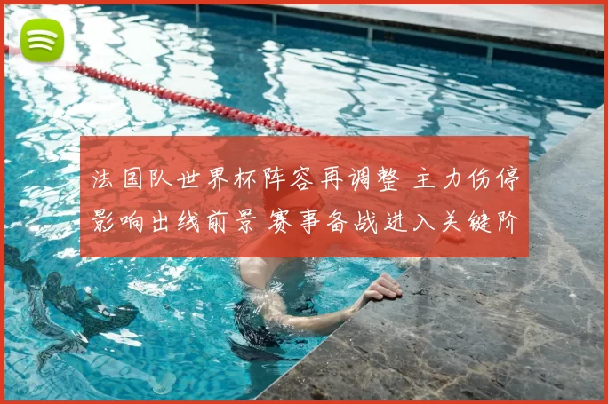 法国队世界杯阵容再调整 主力伤停影响出线前景 赛事备战进入关键阶段