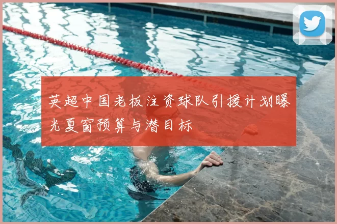 英超中国老板注资球队引援计划曝光夏窗预算与潜目标