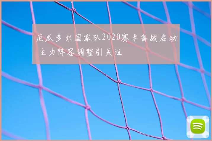 厄瓜多尔国家队2020赛季备战启动 主力阵容调整引关注