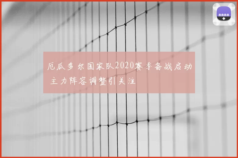 厄瓜多尔国家队2020赛季备战启动 主力阵容调整引关注