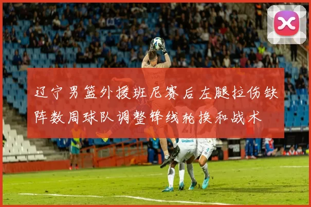 辽宁男篮外援班尼赛后左腿拉伤缺阵数周球队调整锋线轮换和战术