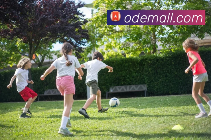 App Interface Preview